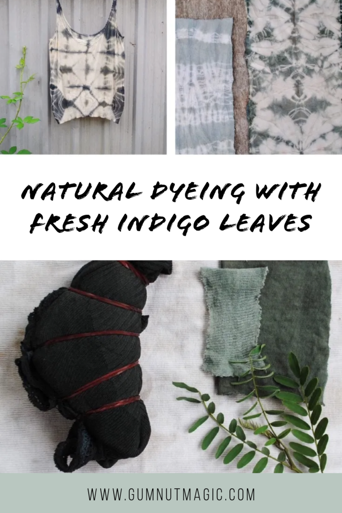 Dyeing with Australian Indigo – Gumnut Magic