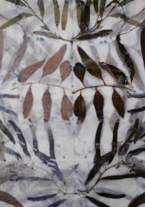 Eco-printing on cotton with eucalyptus leaves