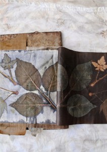 Discharge eco-printing with logwood on paper